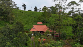 Snow Valley Munnar
